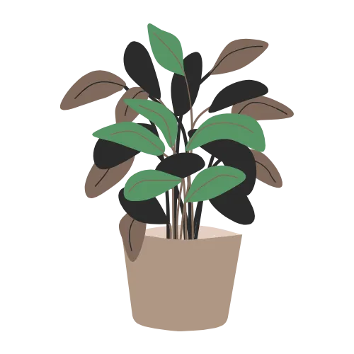 plantes vertes