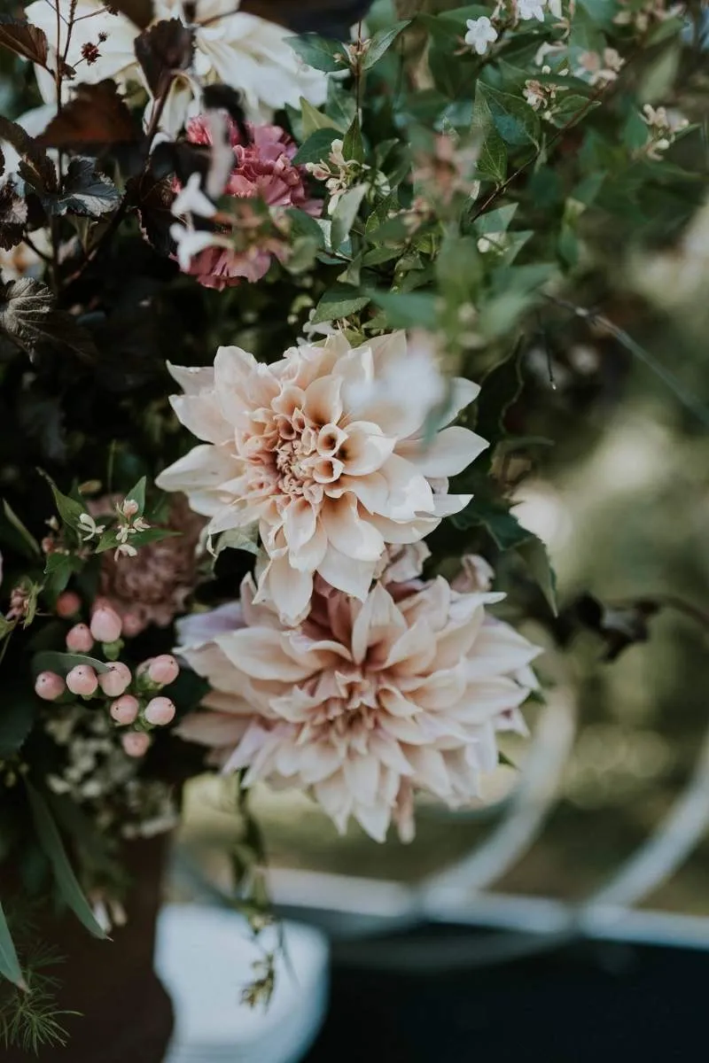 photo-drissia-LP2-7 photo bouquet de fleurs