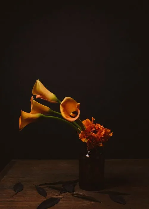 photo-drissia-LP3-5