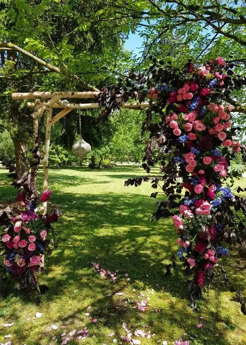 photo-drissia-LP6-11 arche en fleurs