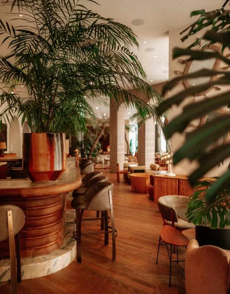 bureaux et plantes