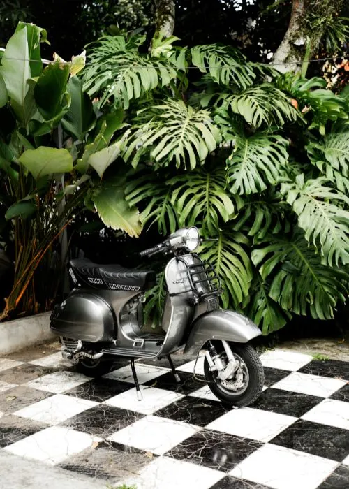 moto 