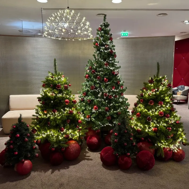 quatre sapins de noel