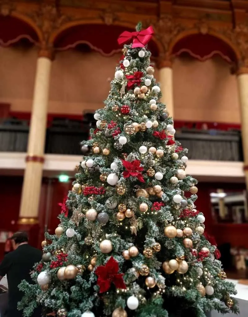 photo-drissia-LP5-7 sapin de noel