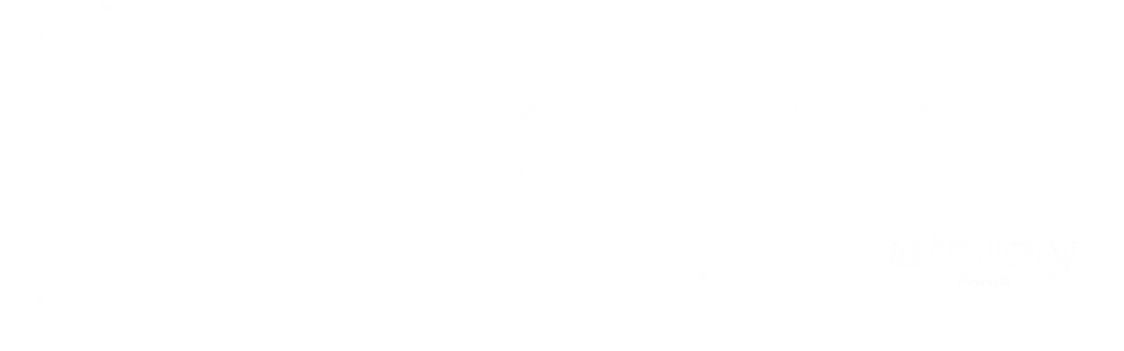 2 nebuleuse de logo professionnels