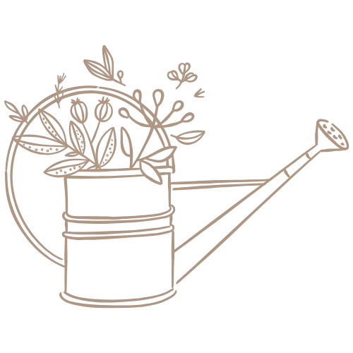 39 arrosoir plantes