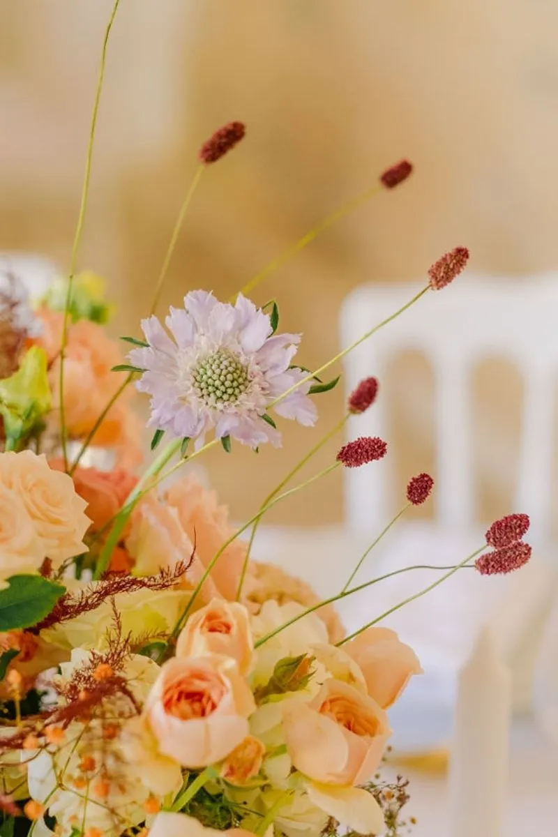 composition florale du domaine des Papillons