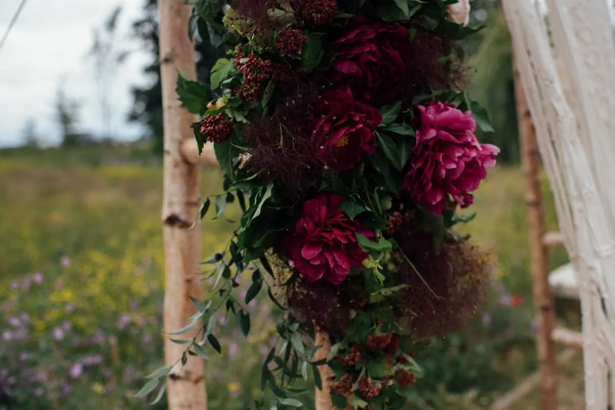 zoom sur les fleurs à la Ferme d'Armenon