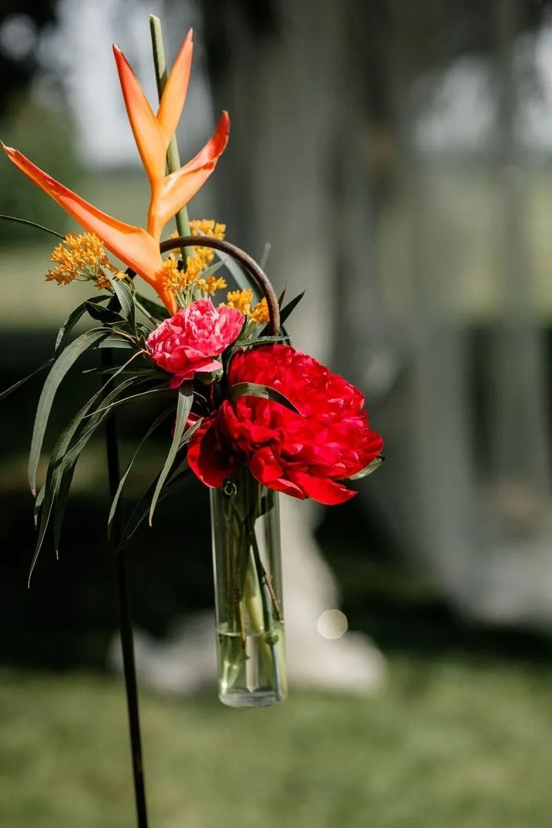 zoom sur plantes du Mariage fun et coloré