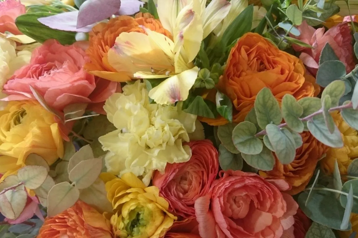 Saison printemps 6 Drissia - Fleuriste mariage & événement