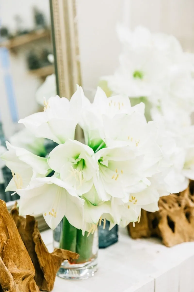 fleurs blanches d'un mariage thème végétal