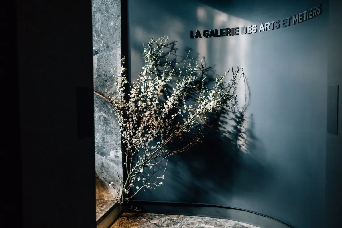 plantes dans une entreprise