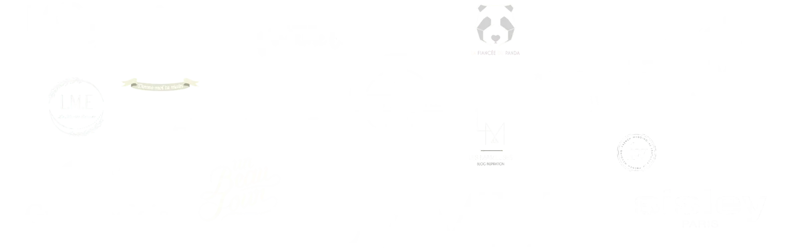 nebuleuse-logo logos des clients/partenaires de drissia
