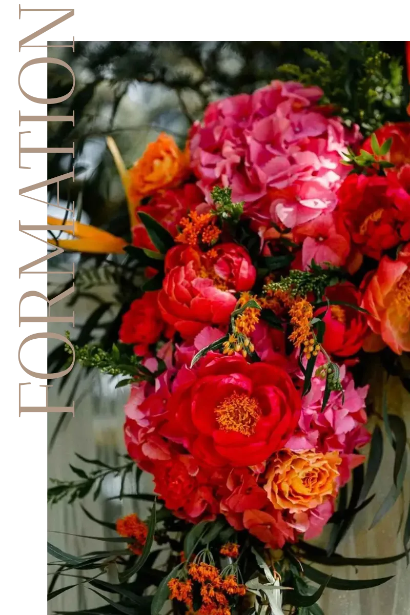 photo fleurs pour formations