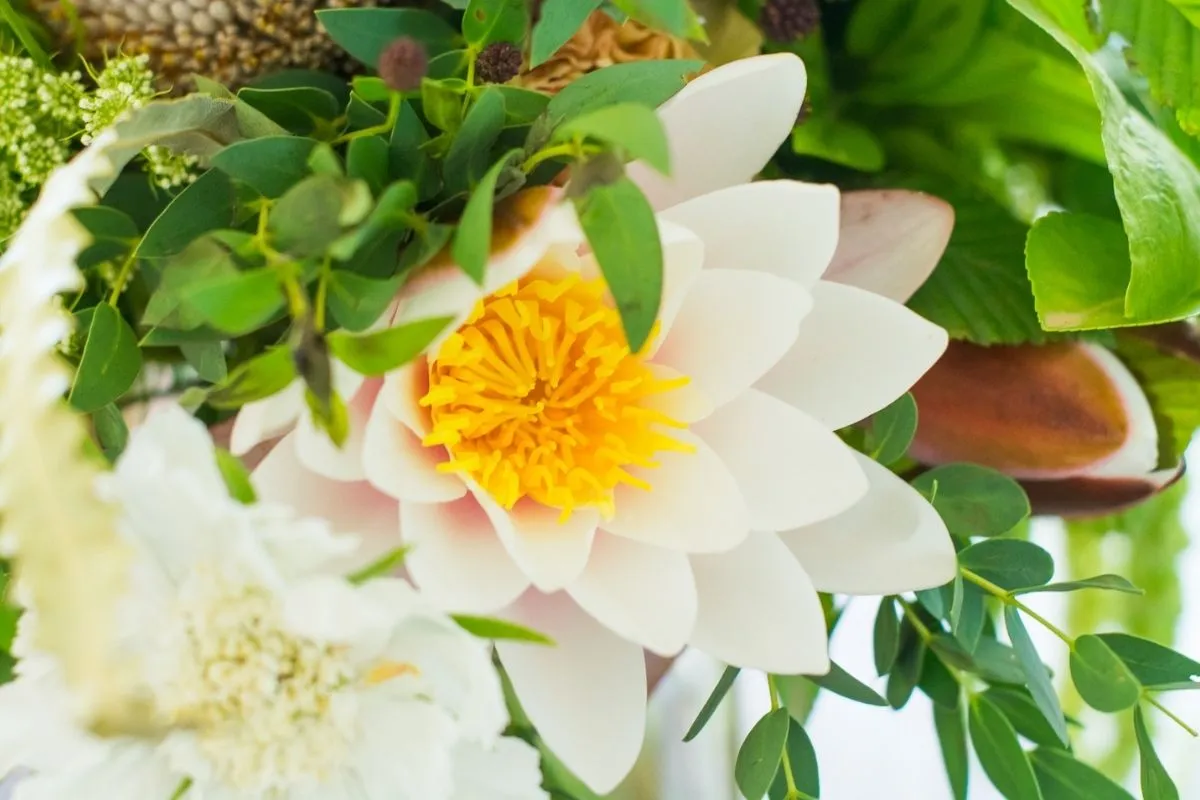 saison ete 7 Drissia - Fleuriste mariage & événement