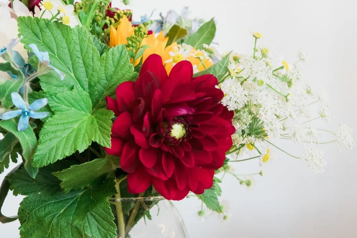 saison ete 9 Drissia - Fleuriste mariage & événement