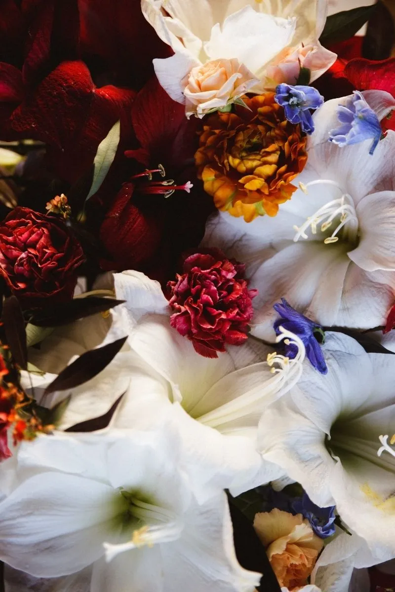 saison hiver 25 1 Drissia - Fleuriste mariage & événement