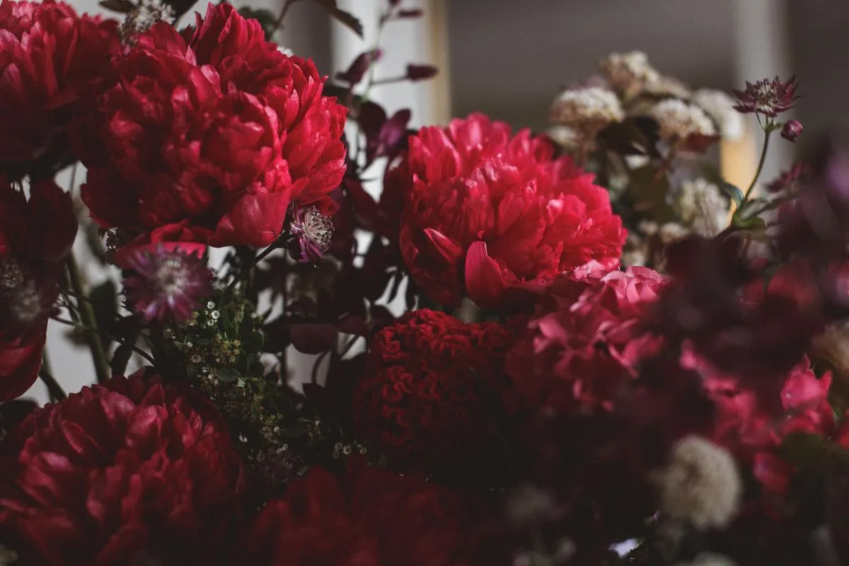 triptyque-professionnel-3 zoom sur des fleurs - pivoines